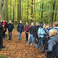 Biologische Exkursion der 7a in den Rheinbacher Forst 